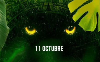 Déjate envolver por La Jungla del Reggaetón en Terraza Isla de Mar